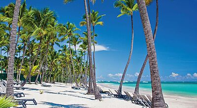 Palmen, feinsandiger Sand, türkisfarbenes Meer und strahlend blauer Himmel – so stellen sich viele Urlauber ihren Karibik-Urlaub vor Liegestuhl am Strand mit Blick auf türkisfarbenes Meer, Palmen wiegen sich im Wind.