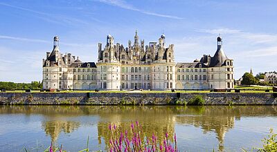 Eine der Stationen auf der neuen Frankreich-Reise von Trendtours ist Schloss Chambord an der Loire. Foto: JoseIgnacioSoto/iStock Prächtiges Schloss mit markanten Türmen und aufwendiger Renaissance-Architektur, gespiegelt im ruhigen Wasser eines breiten Grabens; im Vordergrund blühende violette Uferpflanzen unter blauem Himmel.