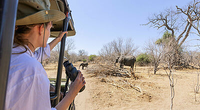 Fynch-Hatton organisiert unter anderem Erlebnistouren durch Namibia. Foto: minoandriani/istock