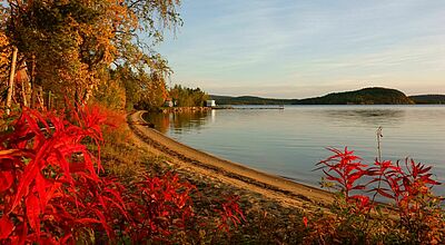 Ein prächtiges Farbenschauspiel bietet sich Finnland-Besuchern im Herbst