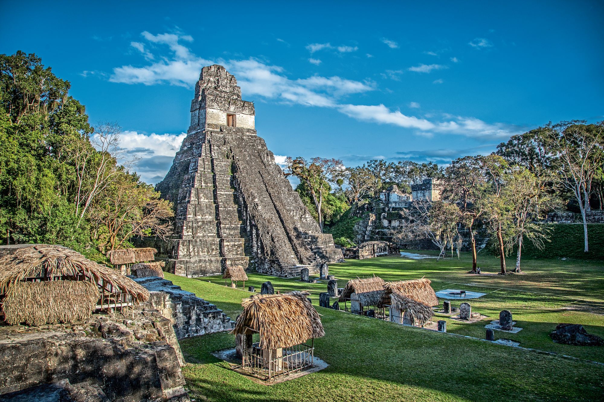 Der Tempel I in Tikal im Norden Guatemalas ist sagenhafte 47 Meter hoch